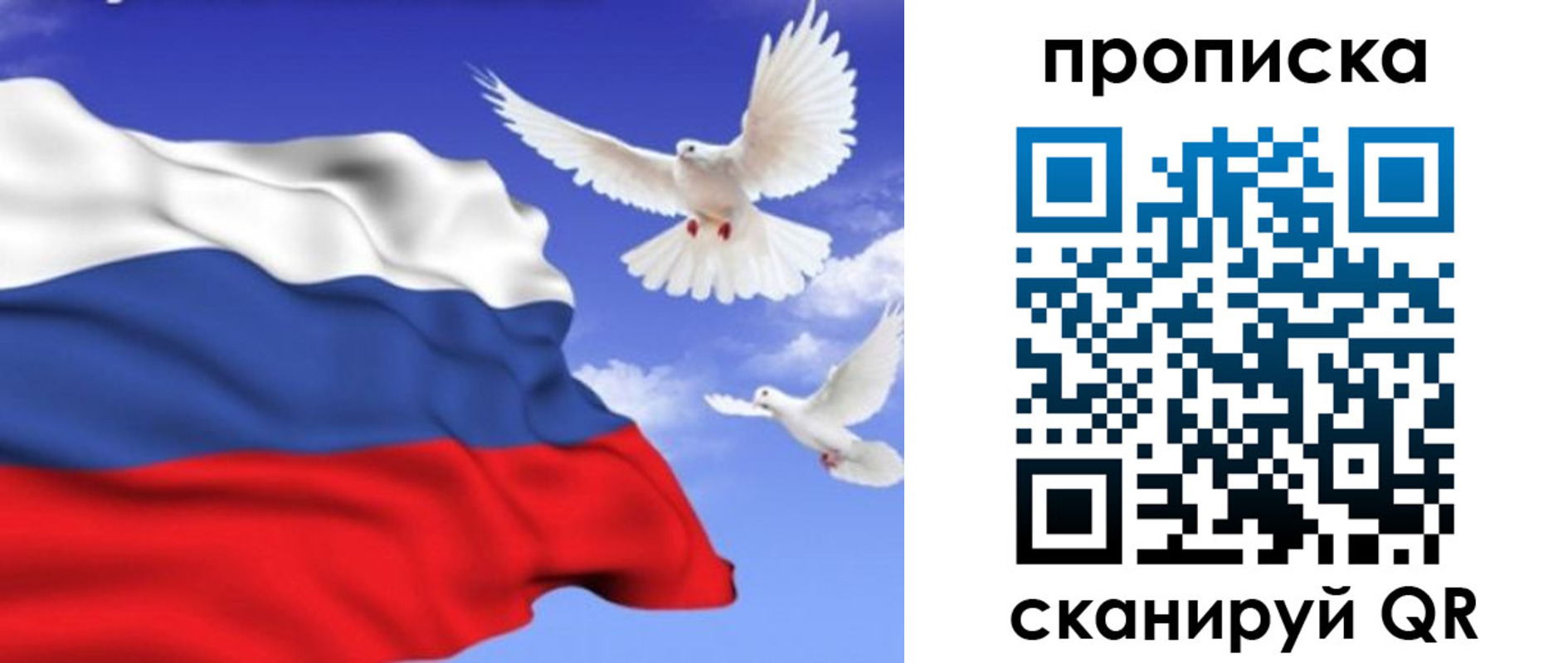 временная регистрация гарантия в Вольске